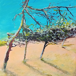 Schoorlse Duinen2